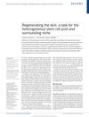 Regenerating the skin: a task for the heterogeneous stem cell pool and surrounding niche