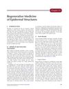 Regenerative Medicine of Epidermal Structures
