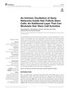 An Intrinsic Oscillation of Gene Networks Inside Hair Follicle Stem Cells: An Additional Layer That Can Modulate Hair Stem Cell Activities