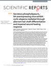 Secretory phospholipase A2-IIA overexpressing mice exhibit cyclic alopecia mediated through aberrant hair shaft differentiation and impaired wound healing response