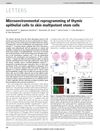 Microenvironmental reprogramming of thymic epithelial cells to skin multipotent stem cells