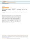 Olfactory receptor OR2AT4 regulates human hair growth