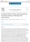 Activating Wnt/β-catenin signaling pathway for disease therapy: Challenges and opportunities
