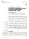 Natural Bizbenzoquinoline Derivatives Protect Zebrafish Lateral Line Sensory Hair Cells from Aminoglycoside Toxicity