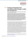 Analysis of histological and microRNA profiles changes in rabbit skin development