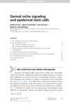 Dermal niche signaling and epidermal stem cells