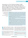 Stimulation of the Follicular Bulge LGR5+ and LGR6+ Stem Cells with the Gut-Derived Human Alpha Defensin 5 Results in Decreased Bacterial Presence, Enhanced Wound Healing, and Hair Growth from Tissues Devoid of Adnexal Structures