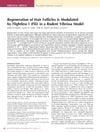 Regeneration of Hair Follicles Is Modulated by Flightless I (Flii) in a Rodent Vibrissa Model