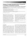 Induction of synapse associated protein 102 expression in cyclosporin A-stimulated hair growth