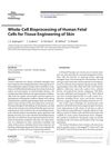 Whole-Cell Bioprocessing of Human Fetal Cells for Tissue Engineering of Skin