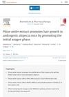 Pilose antler extract promotes hair growth in androgenic alopecia mice by promoting the initial anagen phase