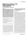 Molecular principles of hair follicle induction and morphogenesis