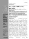 Hair follicles and their role in skin health