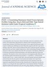 Examining Mammary Gland Transcriptomic Profiles Using RNA-Seq in Slick and Wild-Type Haired Holstein Cattle Under Tropical Conditions