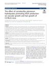 The Effect of Lactobacillus Plantarum Hydrolysates Promoting VEGF Production on Vascular and Hair Growth in C57BL/6 Mice