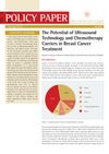 The Potential of Ultrasound Technology and Chemotherapy Carriers in Breast Cancer Treatment