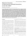 Molecular Dissection of Mesenchymal–Epithelial Interactions in the Hair Follicle