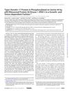 Type I Keratin 17 Protein Is Phosphorylated on Serine 44 by p90 Ribosomal Protein S6 Kinase 1 in a Growth- and Stress-Dependent Fashion