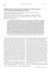 Inhibitory Effects of Polyacetylene Compounds from Panax Ginseng on Neurotrophin Receptor-Mediated Hair Growth