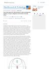 Four Fixed Points for Dermoscope in Male Androgenetic Alopecia: A Way to Diagnose and Monitor Therapy Effect