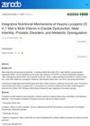 Integrative Nutritional Mechanisms of Keyora Lycopene 23 in 1 Men's Multi-Vitamin in Erectile Dysfunction, Male Infertility, Prostatic Disorders, and Metabolic Dysregulation