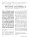 Human Hair Follicles Are an Extrarenal Source and a Nonhematopoietic Target of Erythropoietin