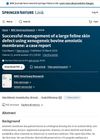 Successful Management of a Large Feline Skin Defect Using Xenogeneic Bovine Amniotic Membrane: A Case Report