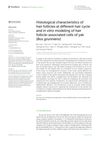 Histological Characteristics of Hair Follicles at Different Hair Cycle and In Vitro Modeling of Hair Follicle-Associated Cells of Yak (Bos Grunniens)