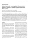 Lack of Evidence for Sprouting of Aβ Afferents into the Superficial Laminas of the Spinal Cord Dorsal Horn After Nerve Section