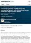 Katsuwonus Pelamis Heart Hydrolysates Promote Hair Growth in 3-Dimensional Human Hair Follicle Organoids and in Mice