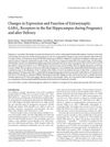 Changes in Expression and Function of Extrasynaptic GABA A Receptors in the Rat Hippocampus During Pregnancy and After Delivery