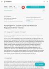 Morphogenesis, Growth Cycle, and Molecular Regulation of Hair Follicles