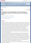 Investigation of the Morphologic and Scanned Electron Microscopic Properties of Wild Boar Bristles in the Balikesir Region