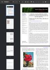 Comparative Extraction, Quantification, And HPLC Characterization Of Phenolic And Flavonoid Compounds From Hibiscus Rosa-Sinensis For Potential Anticancer And Antioxidant Applications