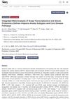 Integrated Meta-Analysis of Scalp Transcriptomics and Serum Proteomics Defines Alopecia Areata Subtypes and Core Disease Pathways