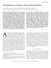 The Pathogenesis of Alopecia Areata in Rodent Models