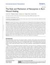The Role and Mechanism of Nanozymes in Burn Wound Healing