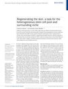 Regenerating the Skin: A Task for the Heterogeneous Stem Cell Pool and Surrounding Niche
