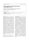 Human Androgenic Steroids Affect Growth of Dermatophytes In Vitro