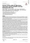 Exosomes Facilitate mRNA and siRNA Delivery Using Cationic Liposomes 2X3-DOPE to Rat Heart Mesenchymal Cells In Vitro