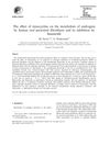 The Effect of Minocycline on the Metabolism of Androgens by Human Oral Periosteal Fibroblasts and Its Inhibition by Finasteride