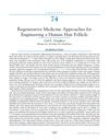 Regenerative Medicine Approaches for Engineering a Human Hair Follicle