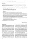 Morphological Characteristics of Acellular Dermal Matrix Manufacturing