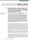 Predicting Hair Cortisol Levels With Hair Pigmentation Genes: A Possible Hair Pigmentation Bias