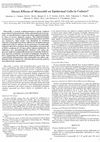 Direct Effects of Minoxidil on Epidermal Cells in Culture