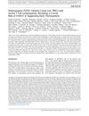 Heterozygous FOXN1 Variants Cause Low TRECs and Severe T Cell Lymphopenia, Revealing a Crucial Role of FOXN1 in Supporting Early Thymopoiesis