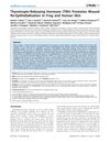 Thyrotropin-Releasing Hormone Promotes Wound Re-Epithelialisation in Frog and Human Skin