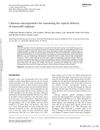 Chitosan Microparticles for Sustaining the Topical Delivery of Minoxidil Sulphate