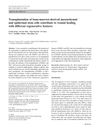 Transplantation of Bone-Marrow-Derived Mesenchymal and Epidermal Stem Cells Contribute to Wound Healing with Different Regenerative Features