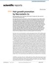 Hair Growth Promotion by Necrostatin-1s